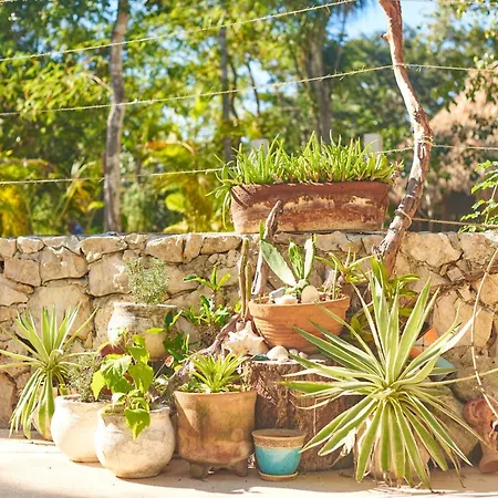 Villa Agua Y Fuego-2